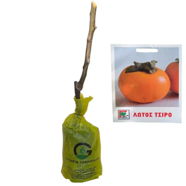MyAgroMarket Μηλολωτός Τσίρο Δέντρο Μπάλα Τύρφης