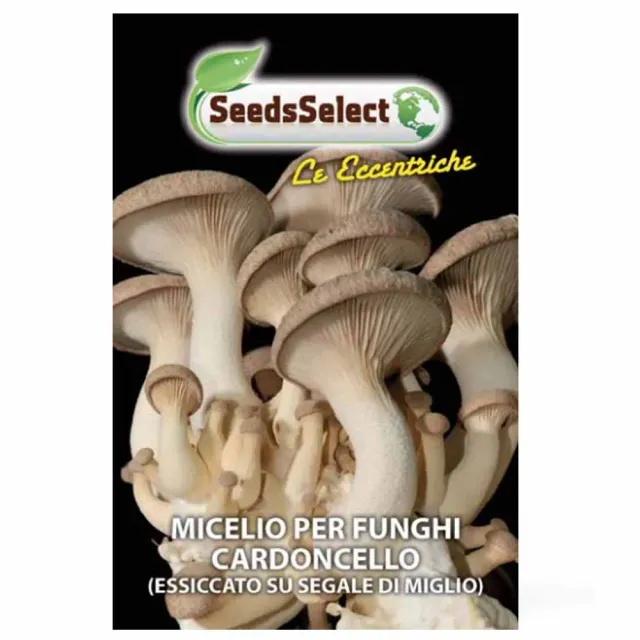 MyAgroMarket Cardoncello μυκήλιο μανιταριών 25gr Ιταλίας