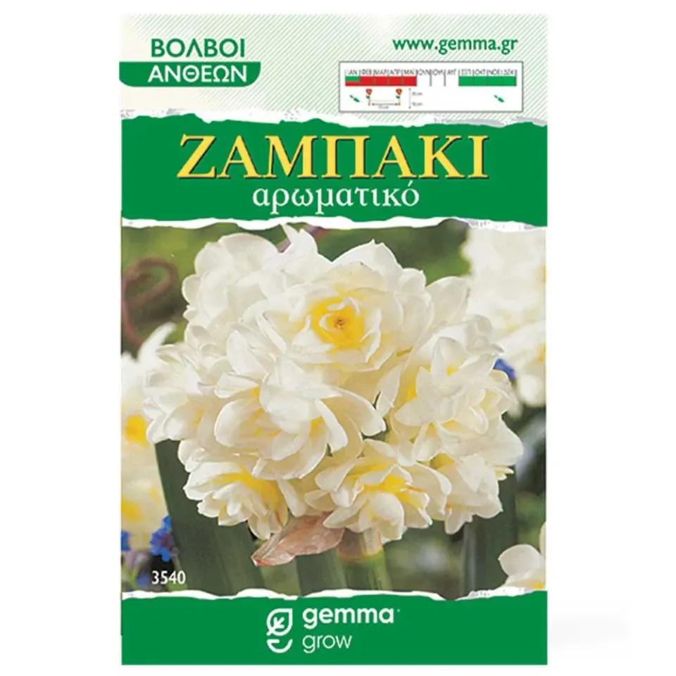 MyAgroMarket Ζαμπάκι βολβοί μανουσάκι 2 τεμ. διπλοί λευκοί
