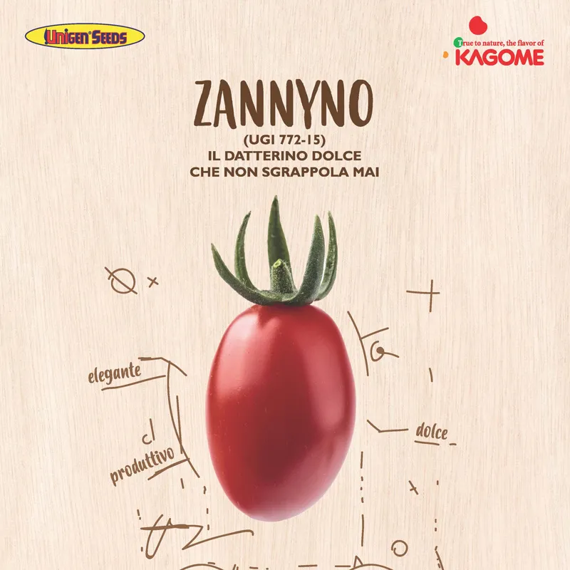 MyAgroMarket Τοματίνι Zannyno F1 σπόροι 1000 τεμ βελανίδι