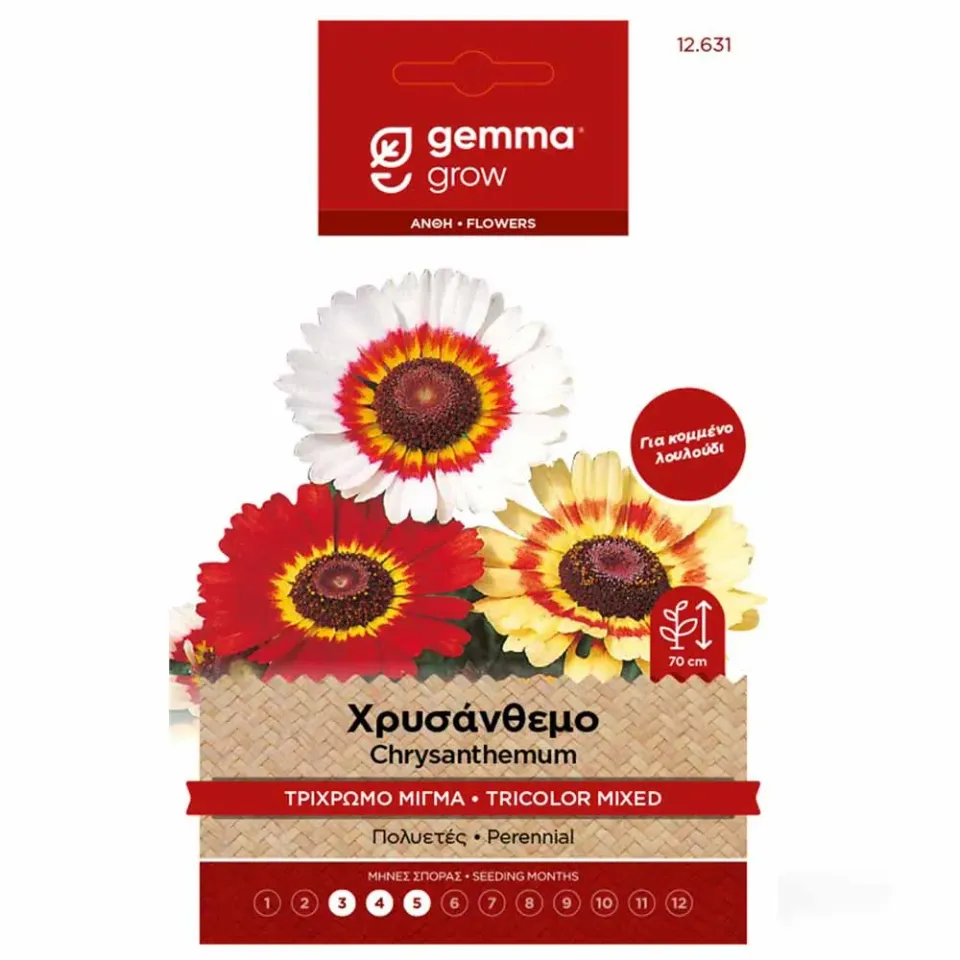 MyAgroMarket τρίχρωμο μίγμα σπόροι χρυσάνθεμου 0,8g κομμένο