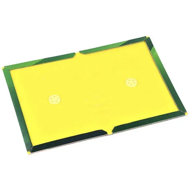 MyAgroMarket παγίδα ποντικιών φύλλο κόλλας 31x16cm