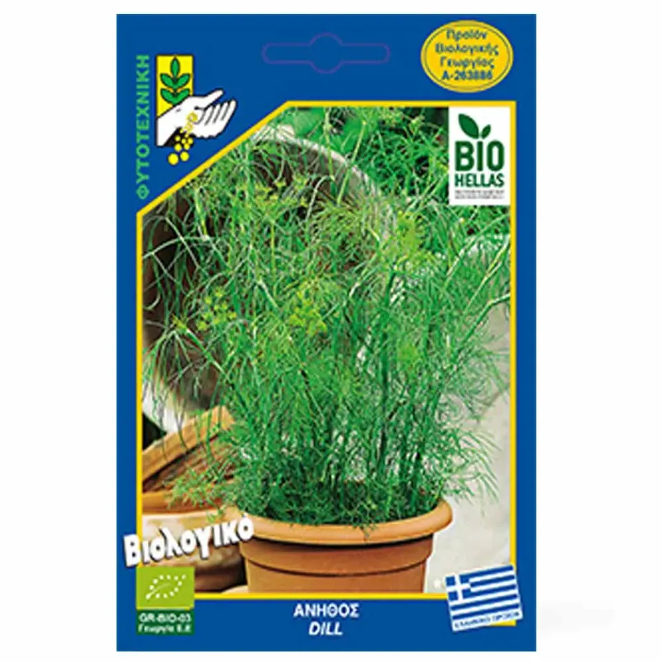 MyAgroMarket Άνηθος Ελληνικός βιολογικοί σπόροι για γλάστρα