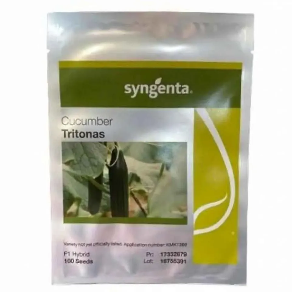 MyAgroMarket Tritonas F1 σπόροι αγγουριού 500 σπόροι ανθεκτικό