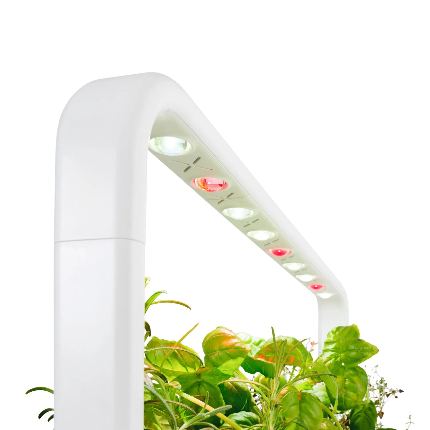 Click and Grow Smart Garden 9 PRO έξυπνη γλάστρα 9 θέσεων λευκή