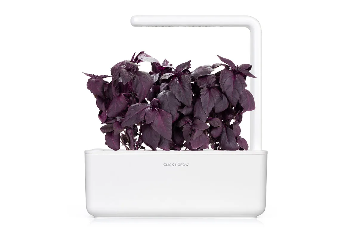 Click and Grow Red Basil κάψουλες βοτάνου 3 τεμάχια