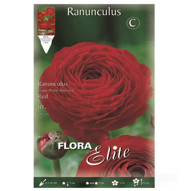 MyAgroMarket Asiatic Red βολβοί νεραγκούλας 10τμχ