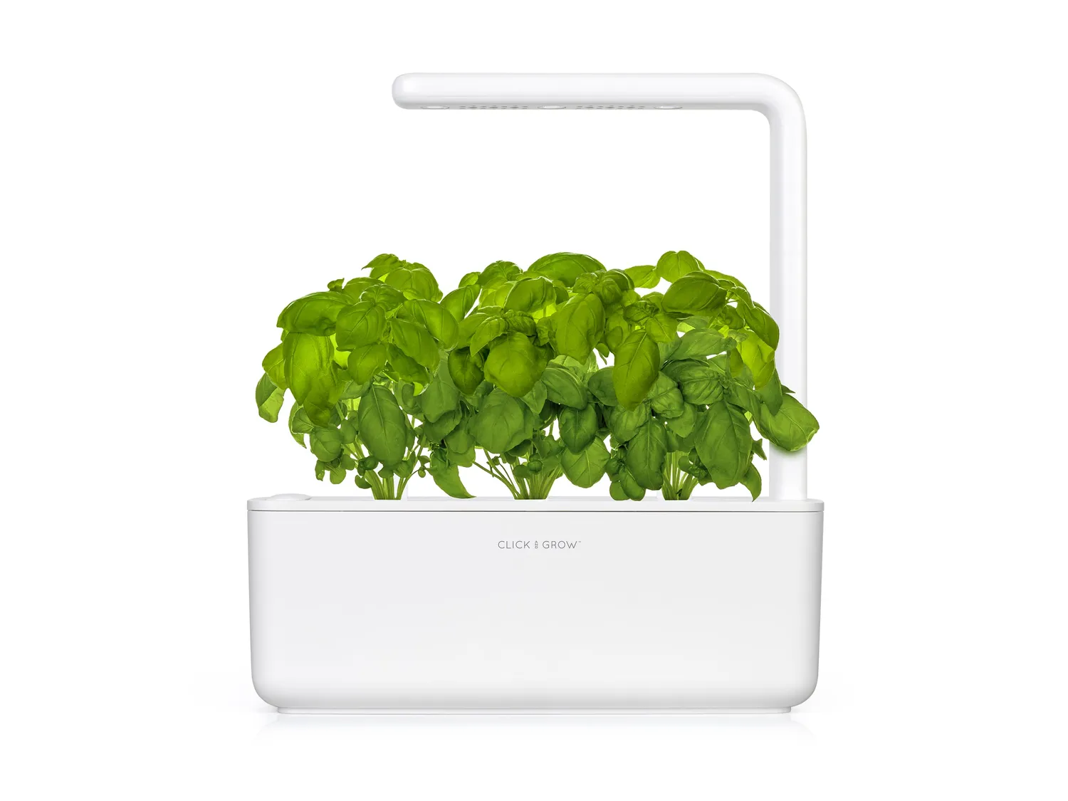 Click and Grow Βασιλικός κάψουλες φυτών 3 τεμ αρωματικός