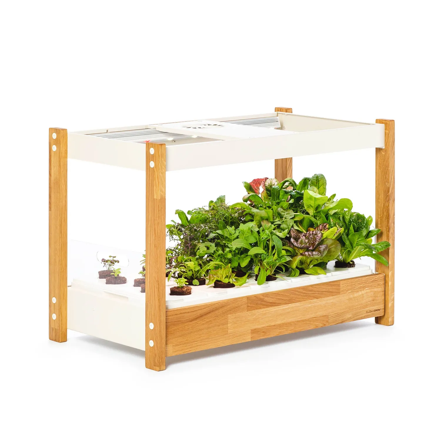 Click and Grow 25 έξυπνος κήπος λευκό συνεχή σοδειά
