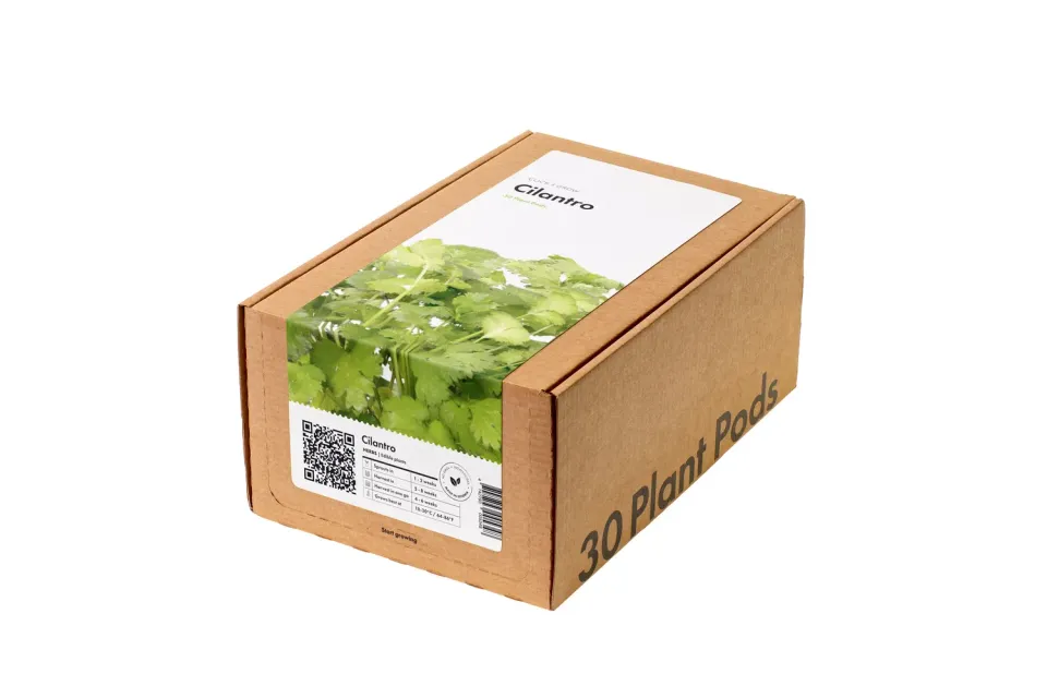 Click and Grow Cilantro κάψουλες φυτών 30-pack φρέσκο