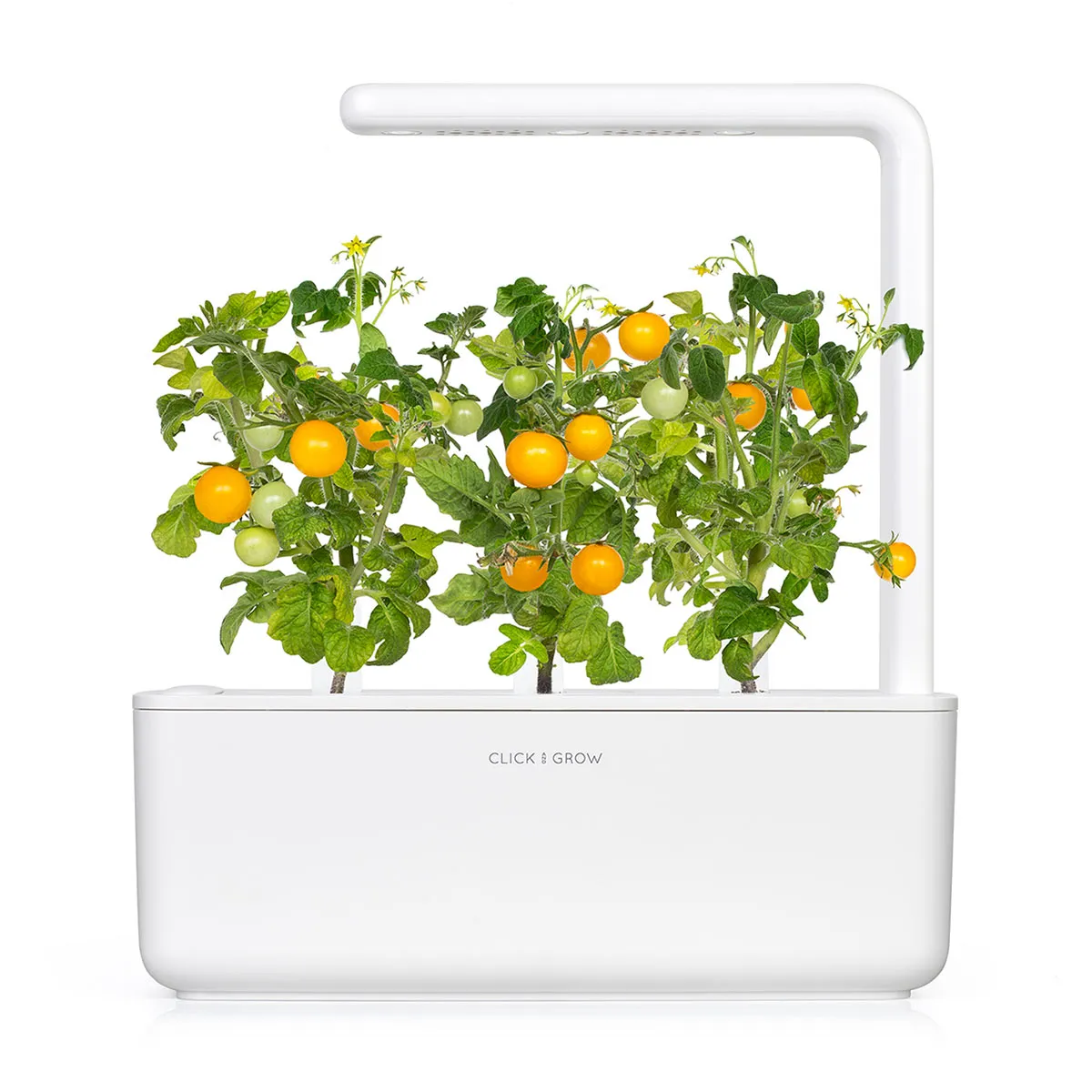 Click and Grow Yellow Mini Tomato κάψουλες ντοματίνια 3 τεμ