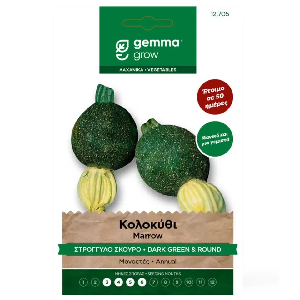 MyAgroMarket Κολοκύθι Στρογγυλό Σκούρο Σπόροι 4gr Γεμιστά