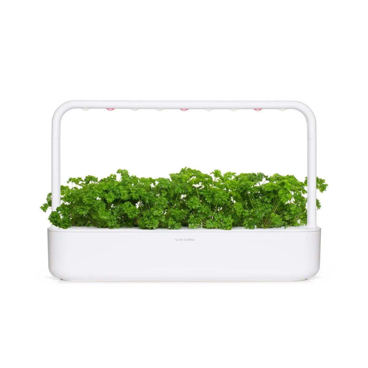 Click and Grow Μαϊντανός Σγουρός κάψουλες 9 τεμαχίων βρώσιμος