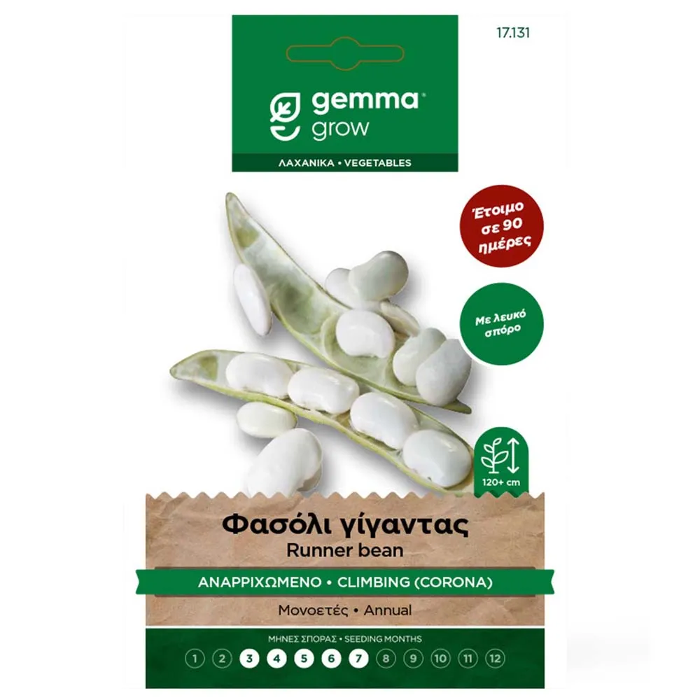 MyAgroMarket Φασόλι Γίγαντας Spagna σπόροι 20gr λευκοί