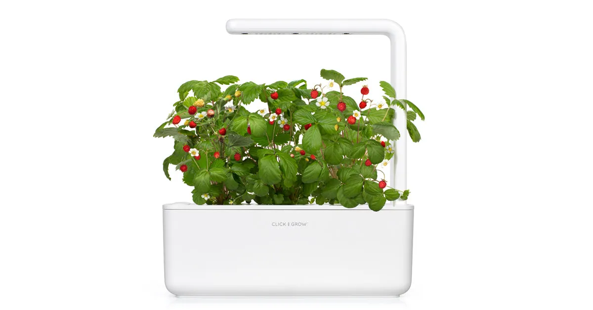 Click and Grow Wild Strawberry κάψουλες φυτών 3-pack γλυκιά
