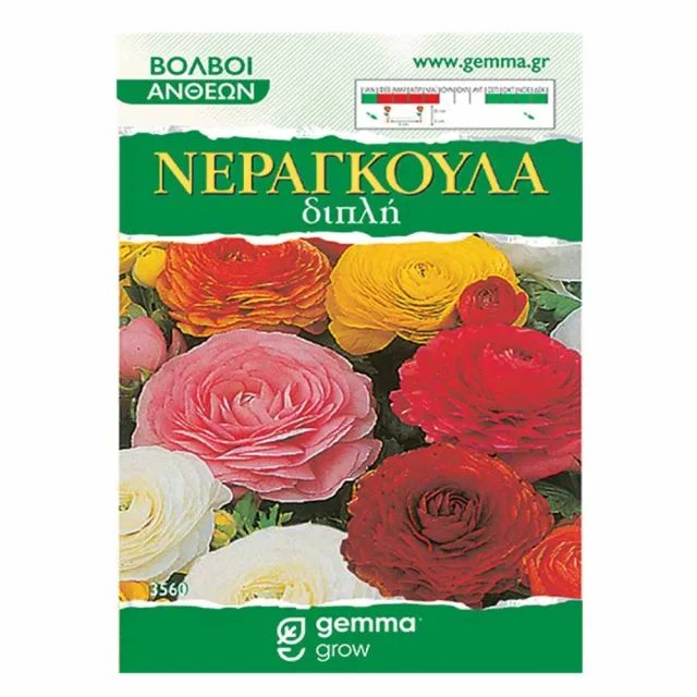 MyAgroMarket Νεραγκούλα Μίγμα Βολβοί 4 τεμ Πολύχρωμη