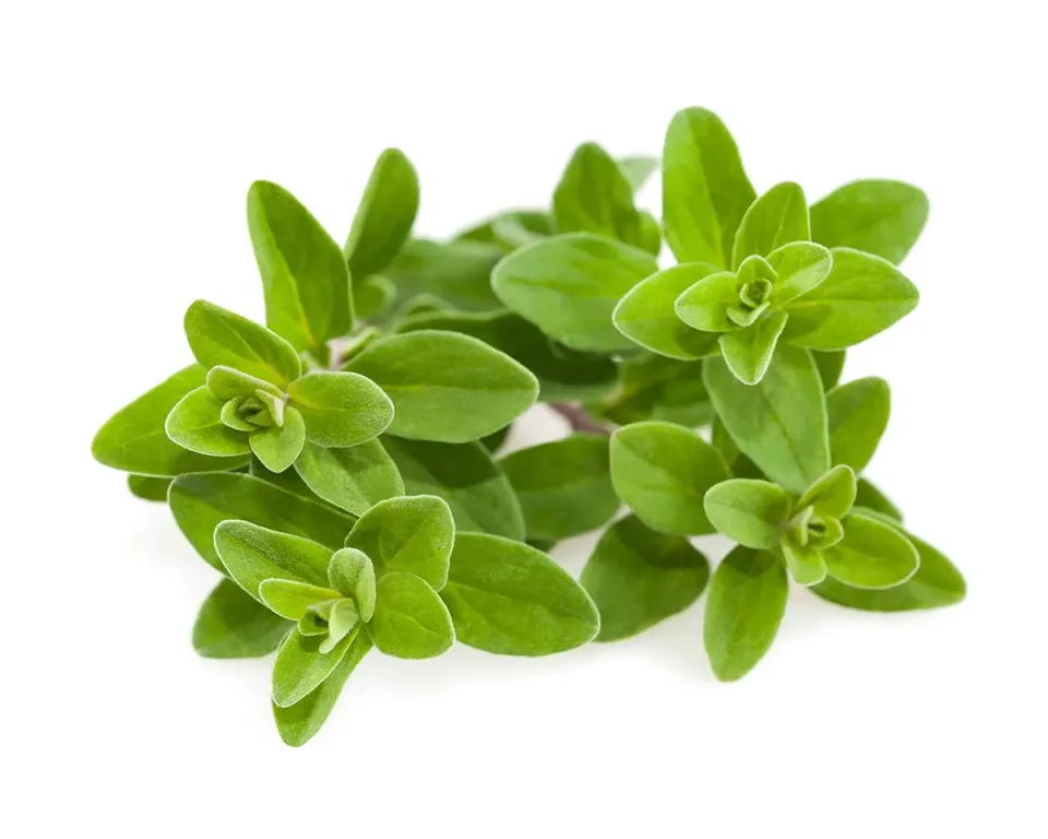 Click and Grow Μαντζουράνα κάψουλες 3 τεμαχίων αρωματική