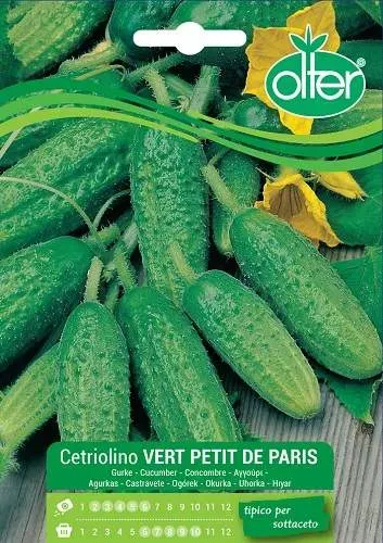 Olter Vert Petit De Paris σπόρος αγγουράκι τουρσί