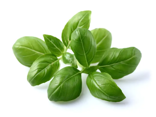 Click and Grow Βασιλικός κάψουλες φυτών 3 τεμ αρωματικός