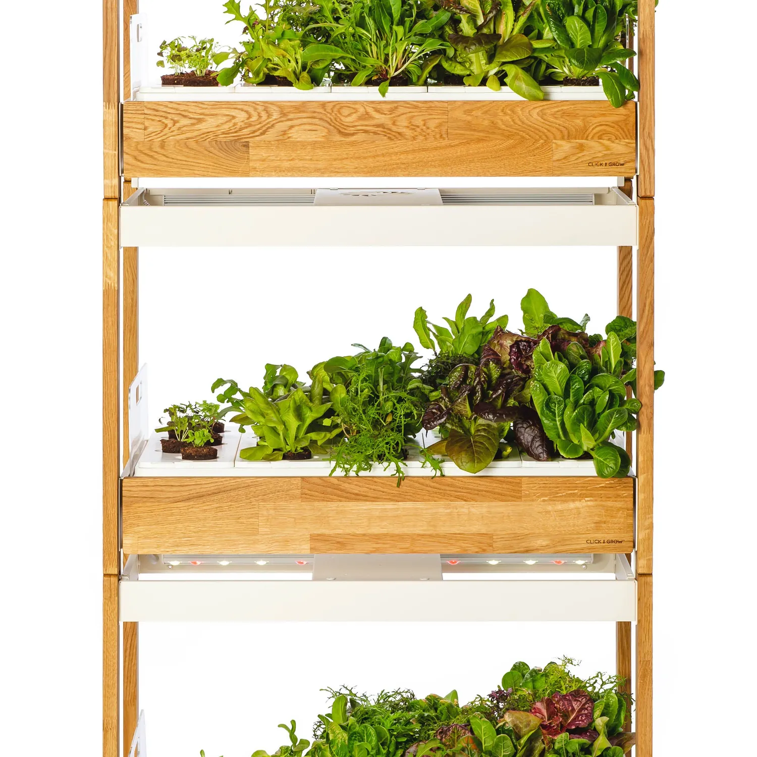 Click and Grow 25 έξυπνος κήπος λευκό συνεχή σοδειά