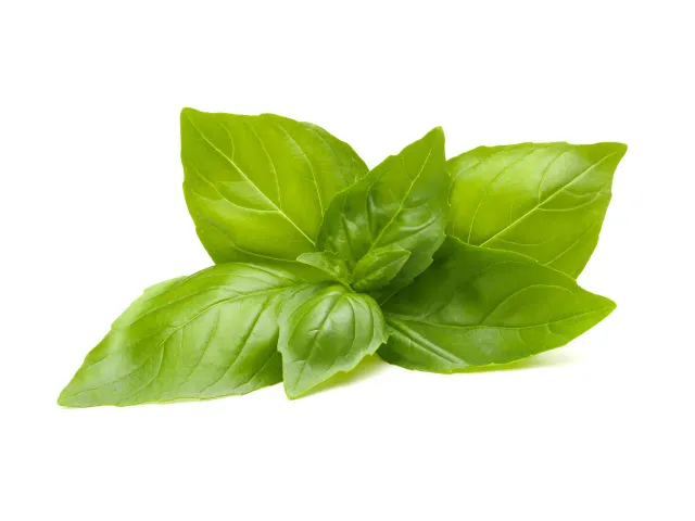 Click and Grow Lemon Basil κάψουλες βοτάνου 3 τεμάχια