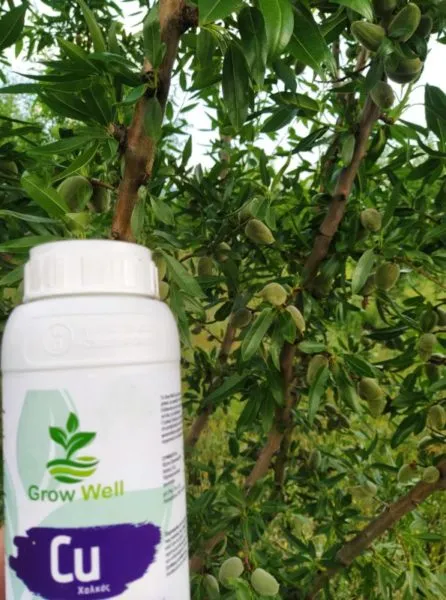 MyAgroMarket Grow Well Cu λίπασμα υγρός χαλκός 1lt
