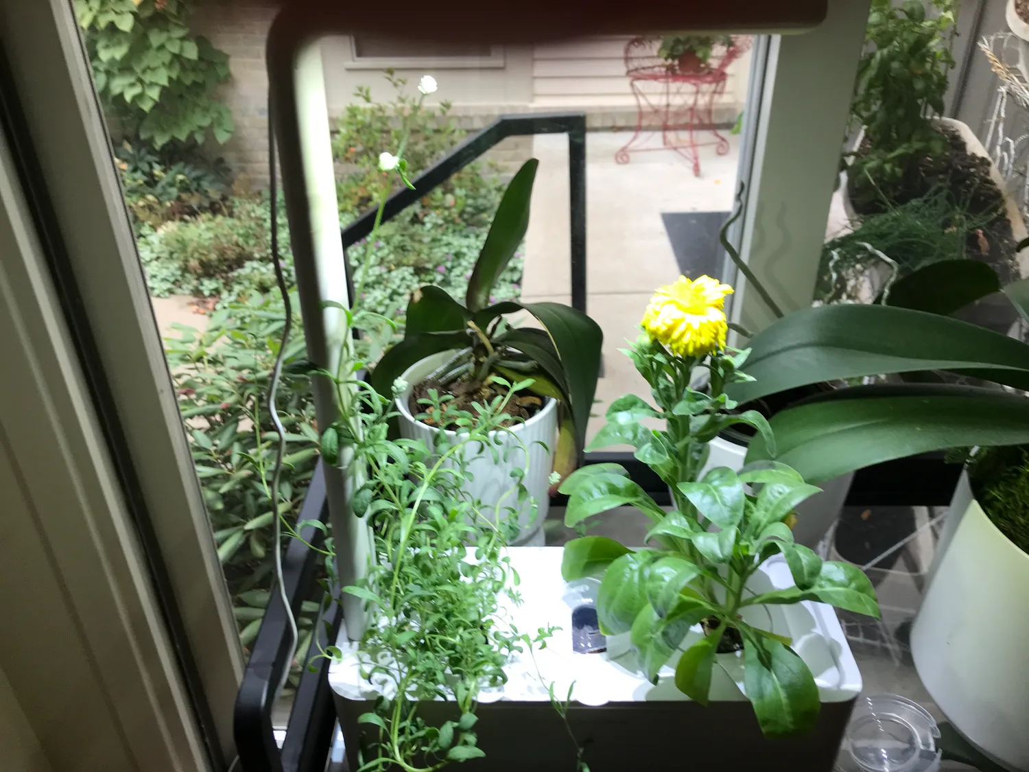 Click and Grow Wicks φυτίλια ποτίσματος 9 τεμ συμβατά