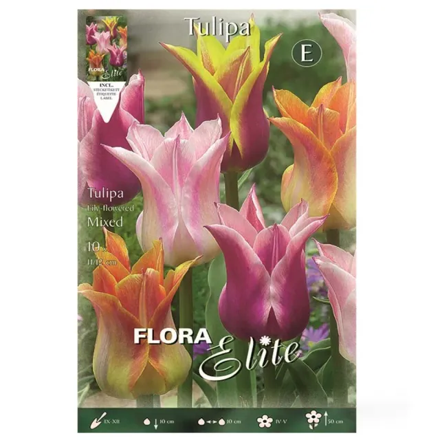 MyAgroMarket Τουλίπα Lily μίγμα βολβοί 10 τεμ