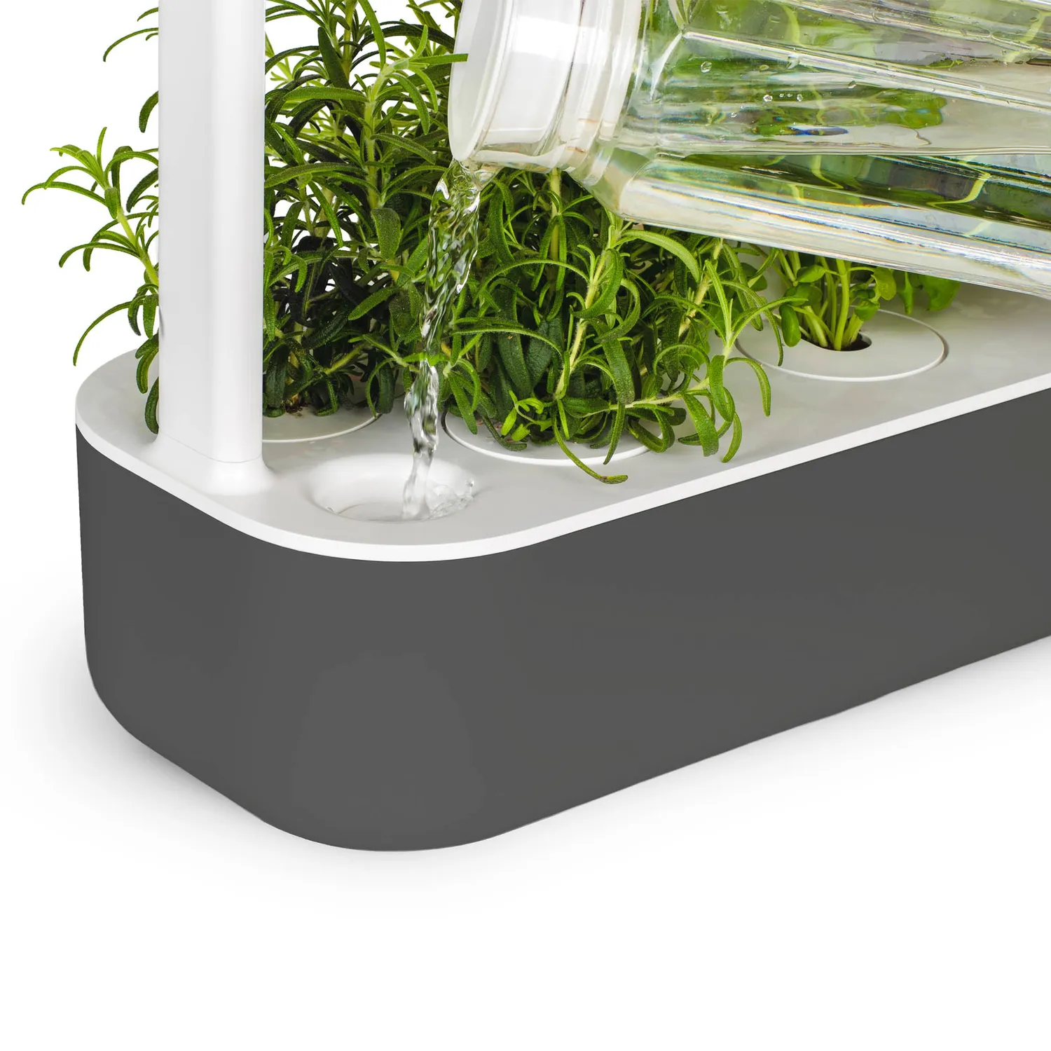 Click and Grow Smart Garden 9 PRO έξυπνη γλάστρα 9 θέσεων λευκή