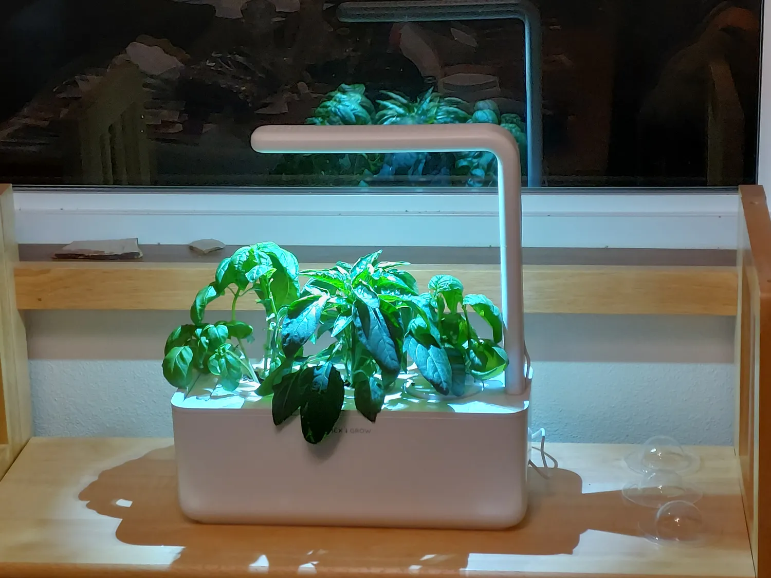Click and Grow 25 έξυπνος κήπος λευκό συνεχή σοδειά