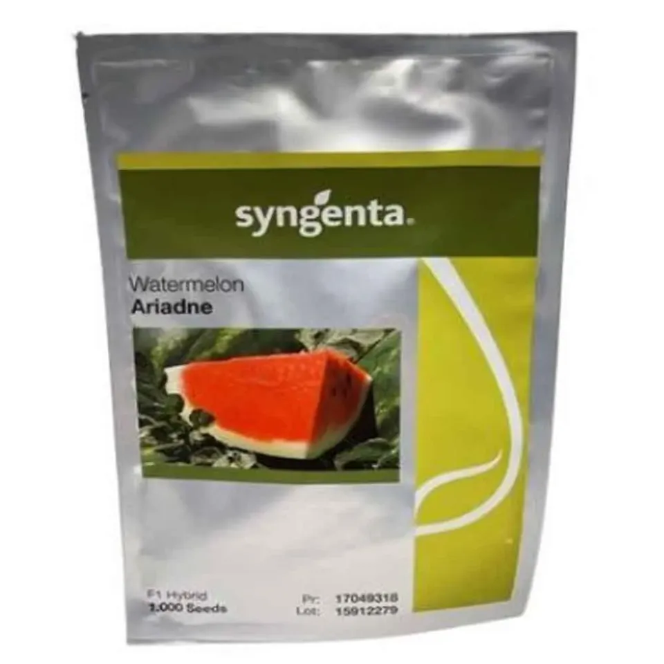 MyAgroMarket Ariadne F1 καρπούζι σπόροι 1000 βαρέλα