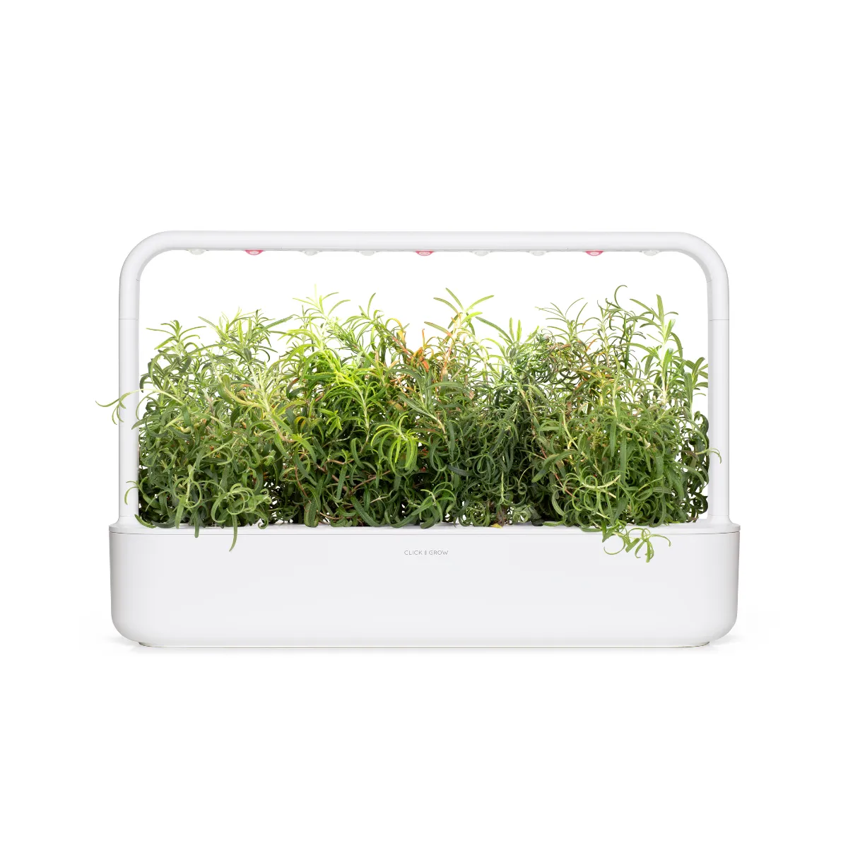 Click and Grow Rosemary κάψουλες δεντρολίβανο 9 τεμ αρωματικό