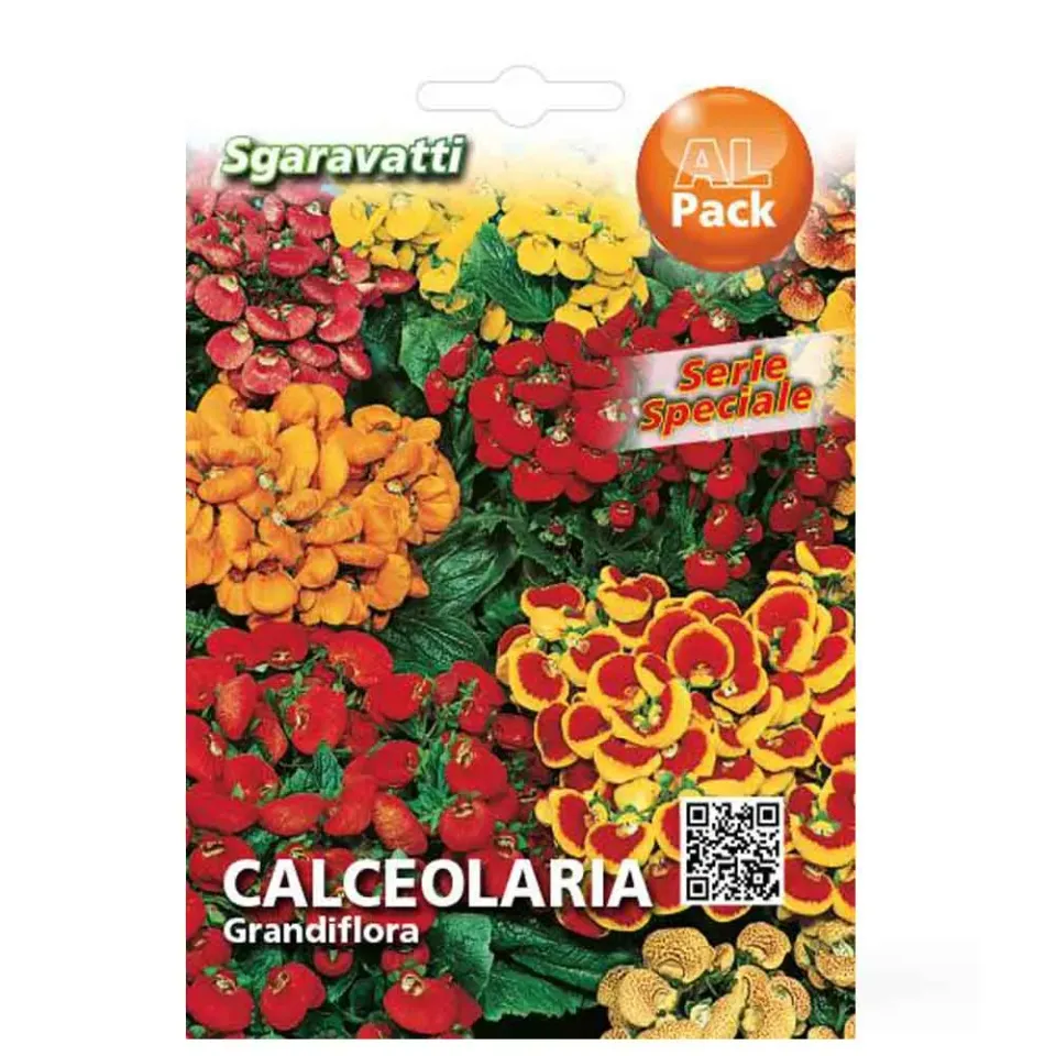 MyAgroMarket Καλσεολάρια Grandiflora σπόροι 150τμχ μίγμα σκιάς