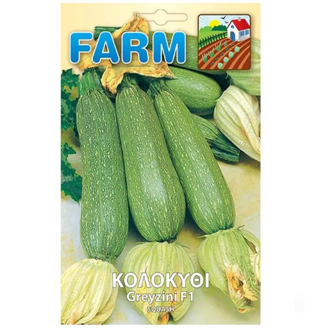 MyAgroMarket Greyzini F1 σπόροι κολοκύθι 10 σπόροι πρώιμο