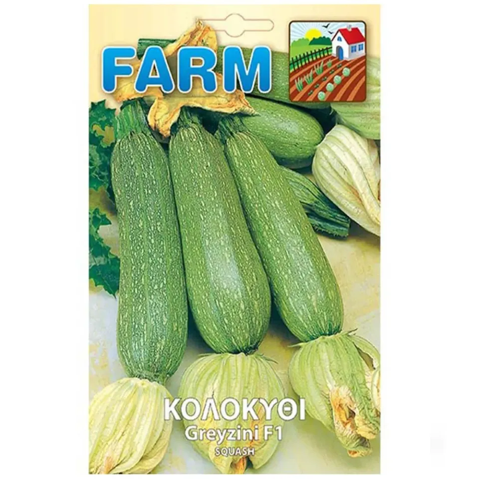 MyAgroMarket Greyzini F1 σπόροι κολοκύθι 10 σπόροι πρώιμο
