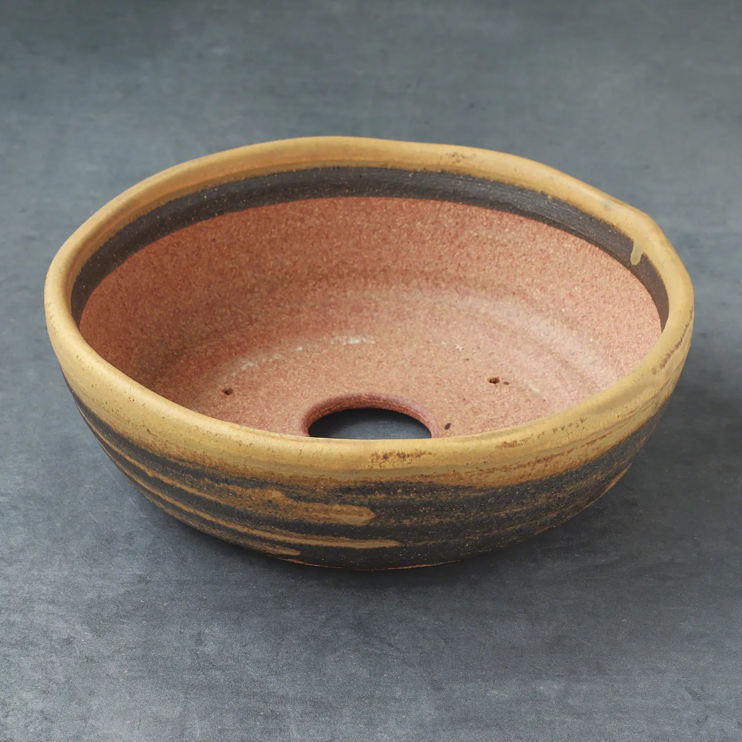 Wazakura Shigaraki γλάστρα μπονσάι 210mm ριγέ καφέ