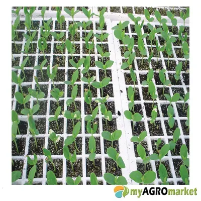 MyAgroMarket 77 θέσεων δίσκος σποράς φελιζόλ