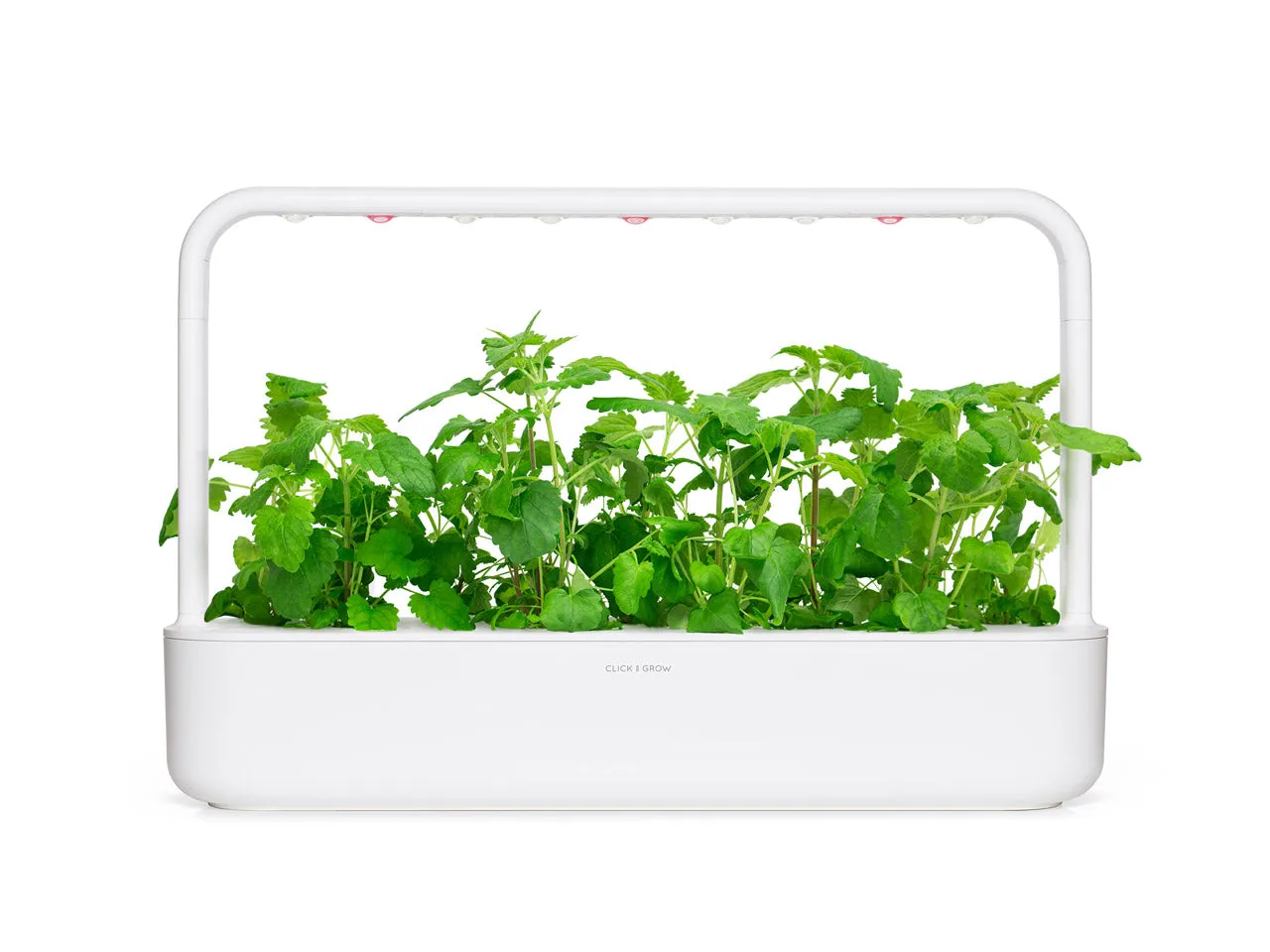 Click and Grow Catnip κάψουλες φυτών 3 τεμ για γάτες