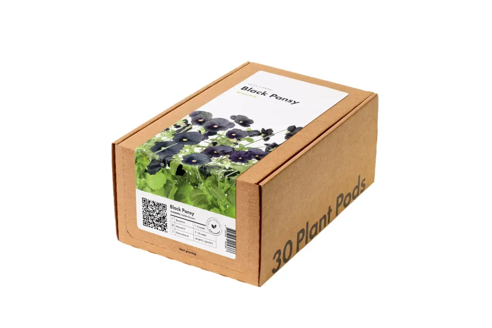 Click and Grow Black Pansy κάψουλες 30 τεμ μαύρος πανσές