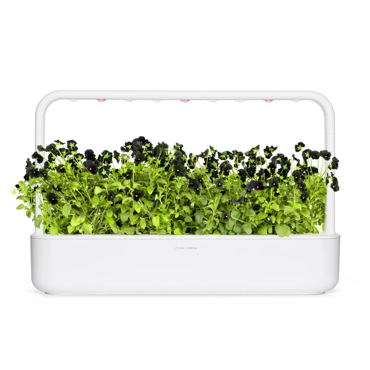 Click and Grow Black Pansy κάψουλες 3 τεμ μαύρος πανσές