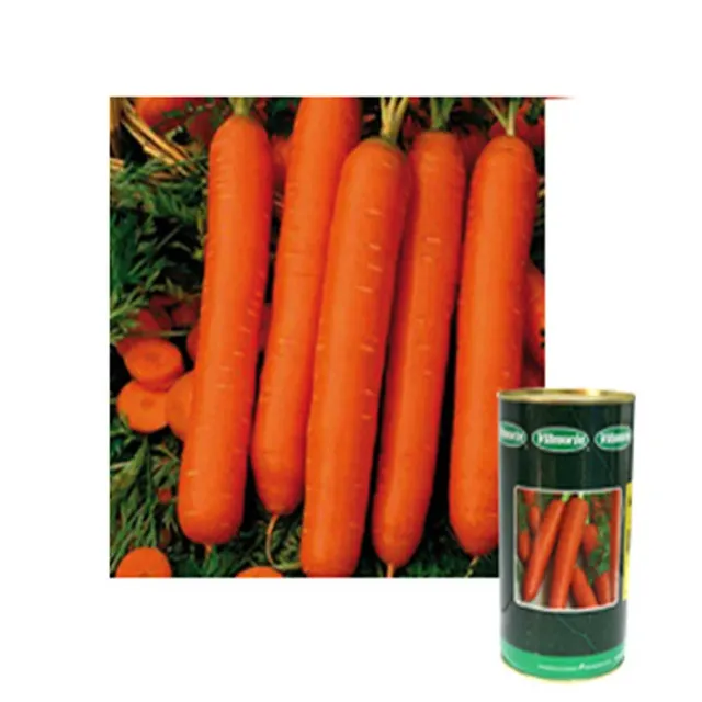 MyAgroMarket Καρότο Nantaise Amelioree σπόροι 500γρ