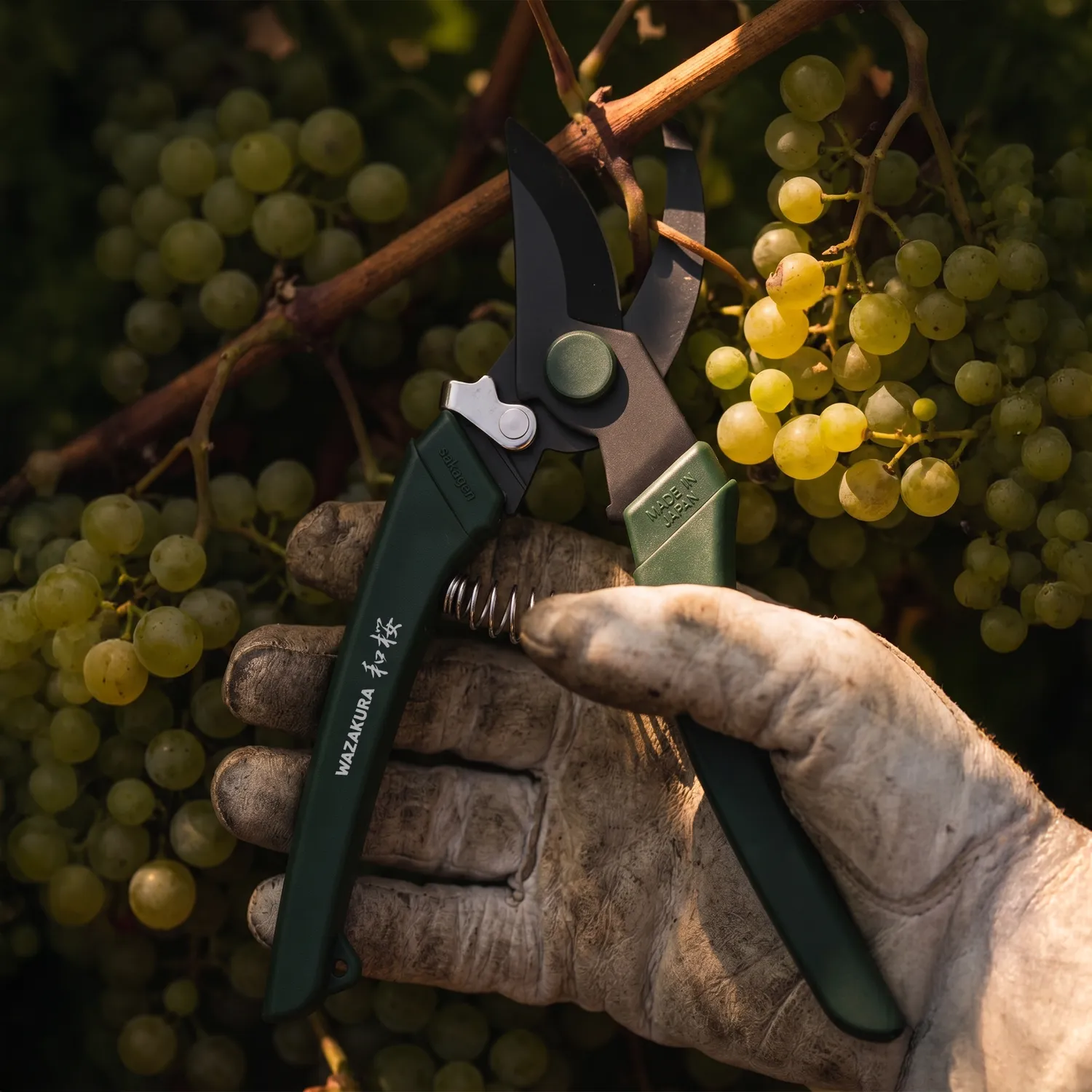 Wazakura Black Blade Ψαλίδι κλαδέματος 180mm αντισκωριακό