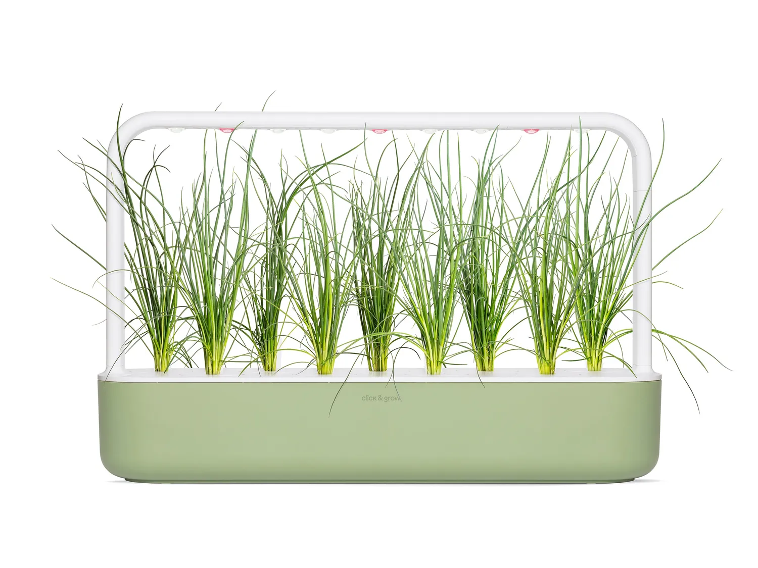 Click and Grow Green Onion κάψουλες φυτών 3 τεμ για φρέσκο
