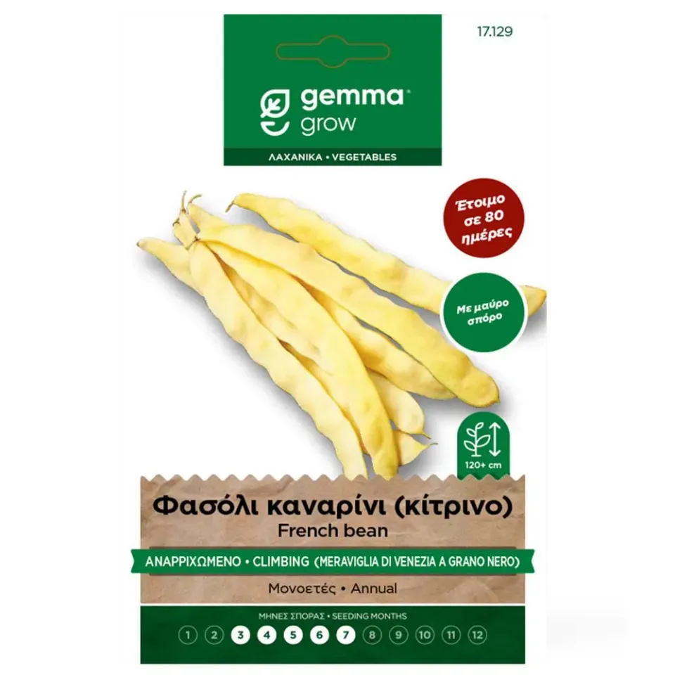 MyAgroMarket σπόροι φασόλι κίτρινο αναρριχώμενο 20gr