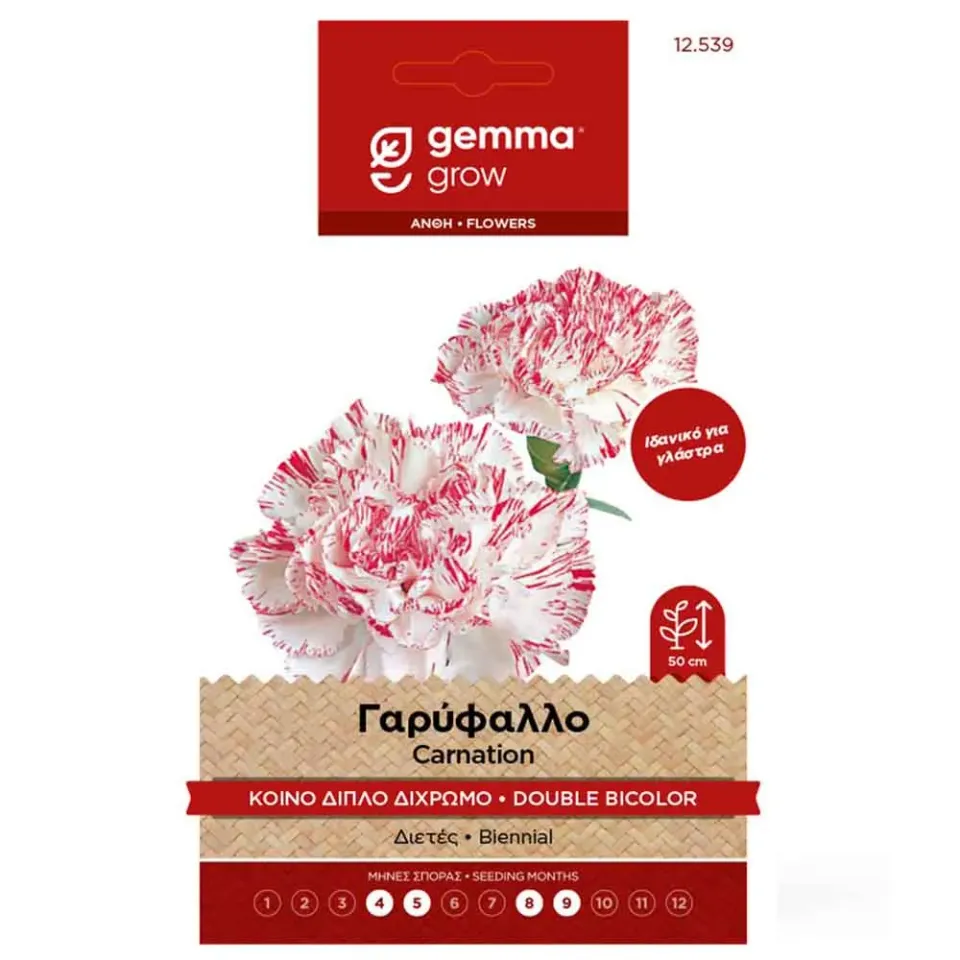 MyAgroMarket γαρύφαλλο διπλό δίχρωμο σπόροι γλάστρας
