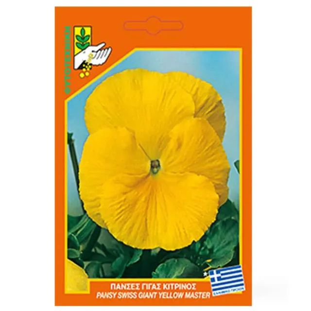 MyAgroMarket πανσές κίτρινος γίγας σπόροι 0,2gr