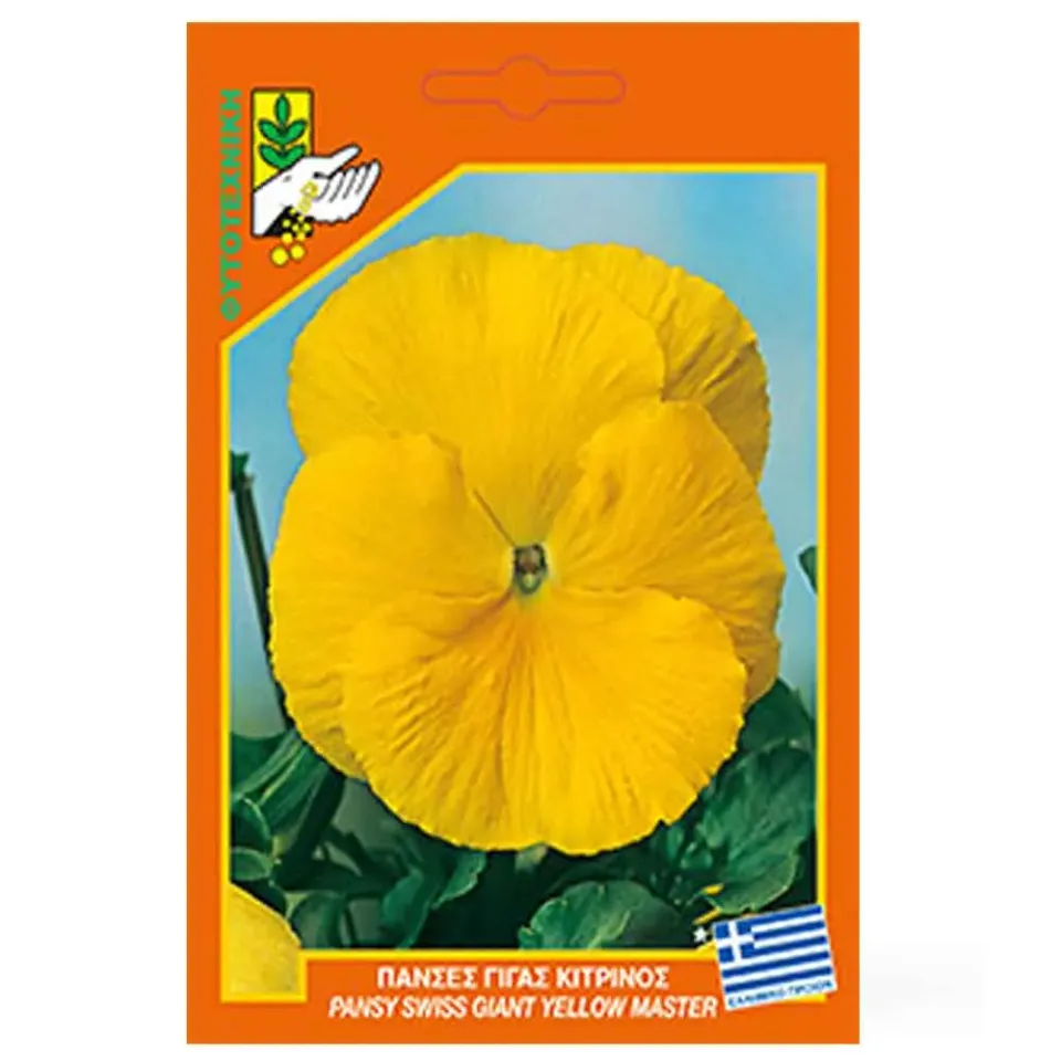 MyAgroMarket πανσές κίτρινος γίγας σπόροι 0,2gr