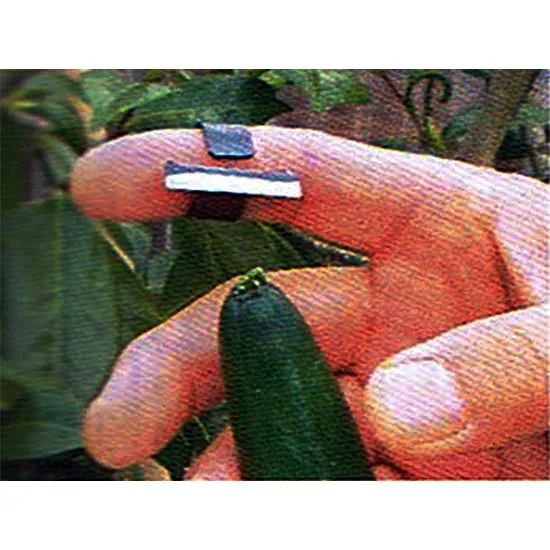 Tanabe I κόφτης συγκομιδής inox δαχτυλιδιού 30mm
