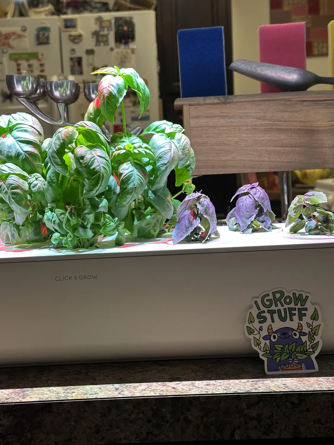 Click and Grow 25 έξυπνος κήπος λευκό συνεχή σοδειά