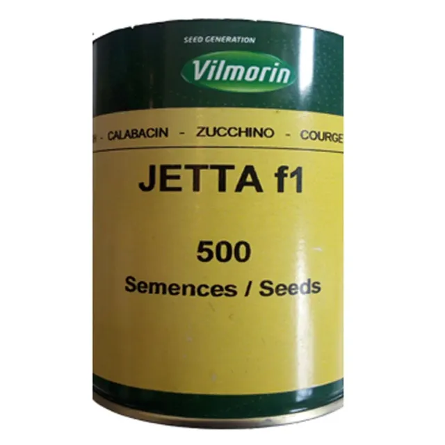 MyAgroMarket Κολοκύθι Jetta F1 Σπόροι Πρώιμο Ζωηρό